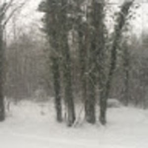 Meet your Posher, Ellen